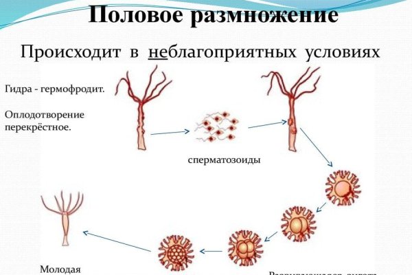 Сайт кракен тор браузера