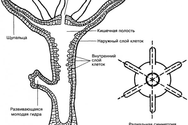 Кракен официальное зеркало